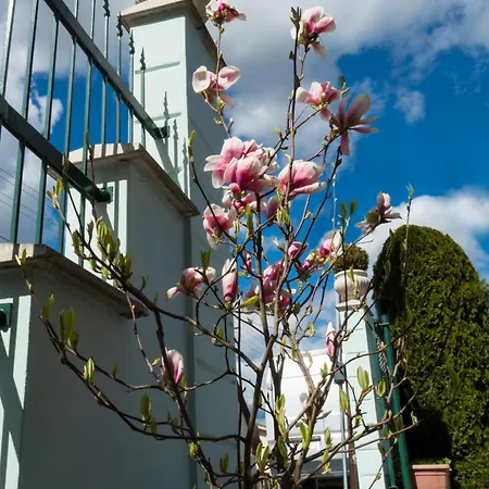 Casa de hóspedes Royal Bytca